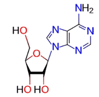 Adenosine