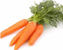 Carrot Callus Culture Extract