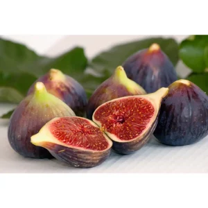 FIG EXTRACT